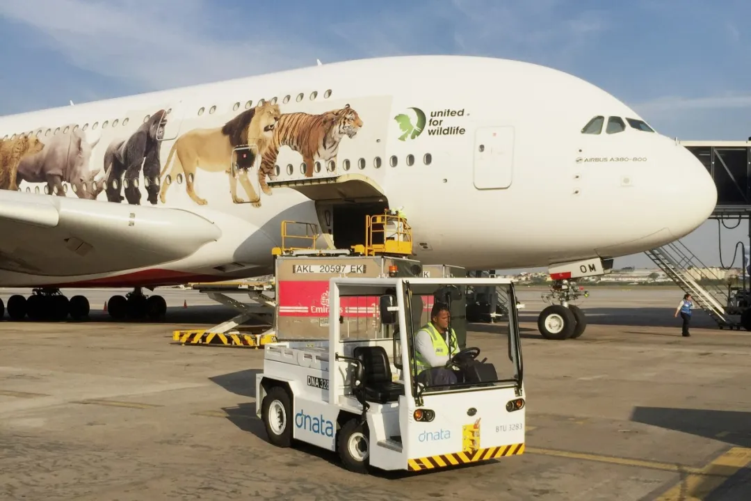 國慶出行助力:比亞迪叉車的“快閃”行動 國慶出行助力:比亞迪叉車的“快閃”行動